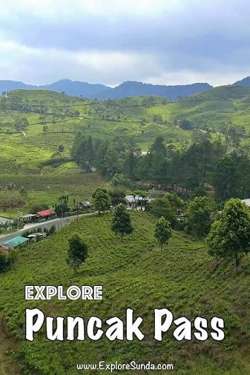 Villa Kabut